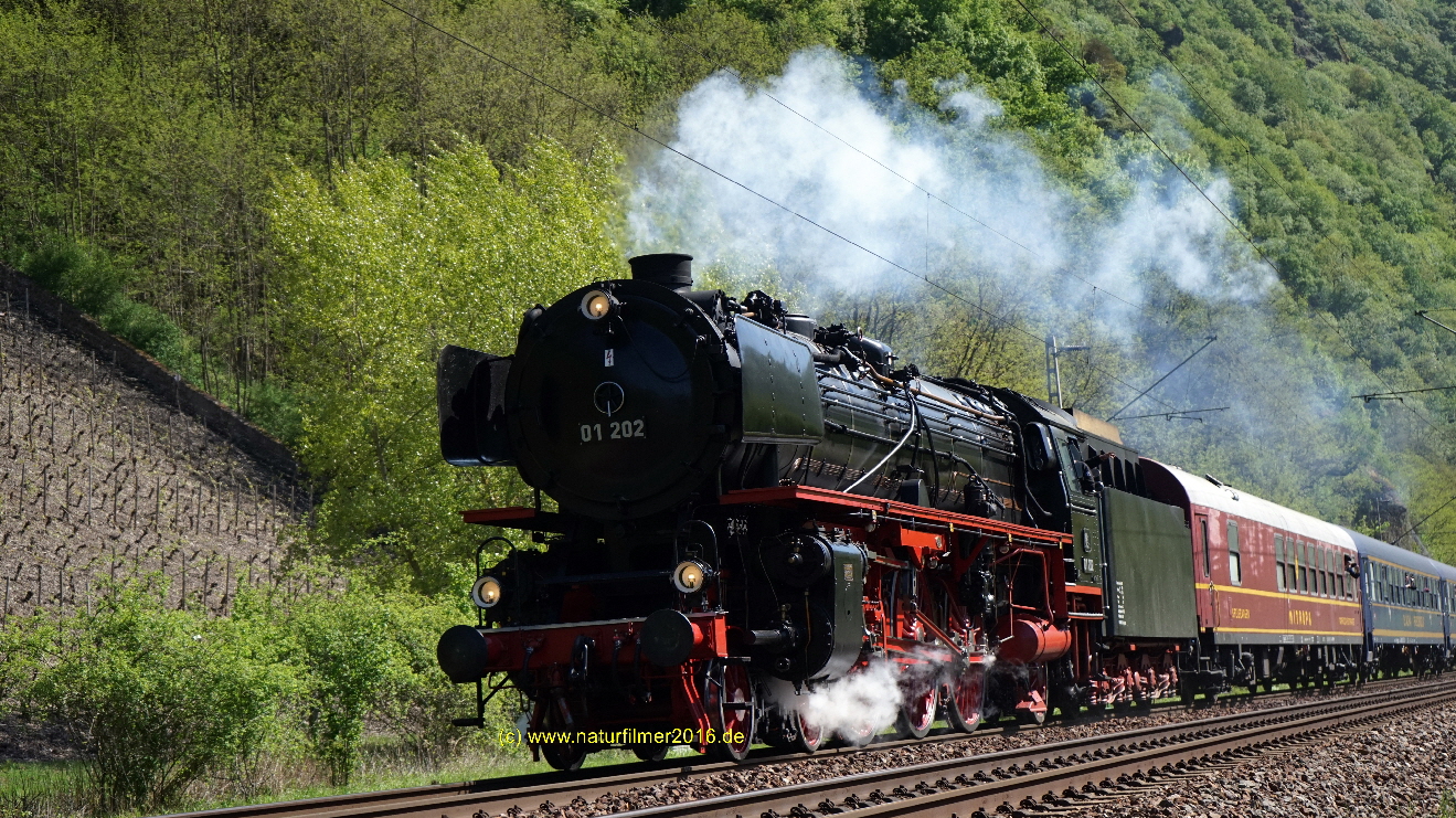 Dampfspektakel 2018 u.a. auf der Saarstrecke - Sonderzug Br01 in Saarbogen bei Hamm in Richtung Serrig